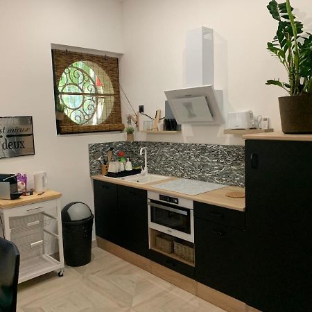 Studio Loft 40M2 De Charme Περπινιάν Εξωτερικό φωτογραφία