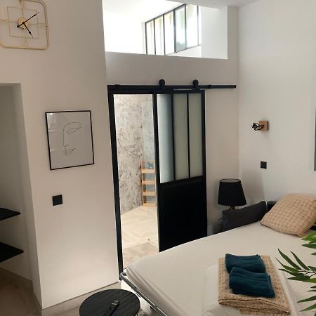Studio Loft 40M2 De Charme Περπινιάν Εξωτερικό φωτογραφία